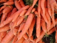 Cercetatorii americani au creat un morcov foarte bogat in calciu