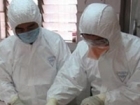 Cercetatorii chinezi sustin ca virusul H5N1 se poate transmite de la mama la fat